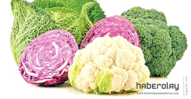 Böbrek Sağlığını Koruyan Müthiş Üçlü!