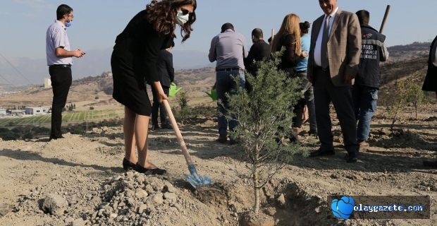 BÜYÜKŞEHİR YANGINLARIN YARALARINI SARIYOR