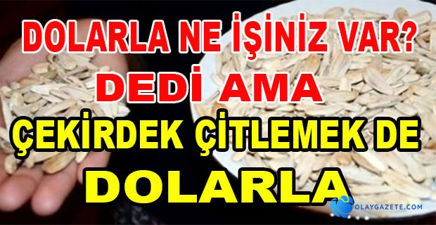 ÇEKİRDEK ÇİTLEMEK DE DOLARLA