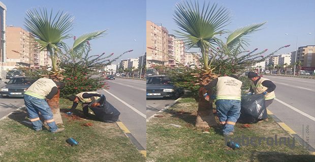 ÇEVRE DÜZENLEME ÇALIŞMALARI