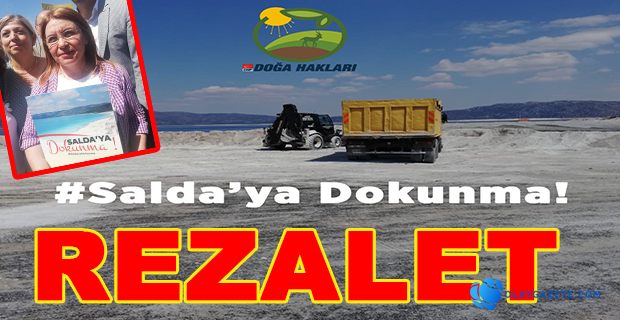 CHP