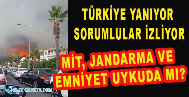 CHP