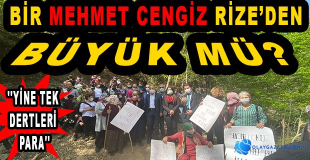 CHP