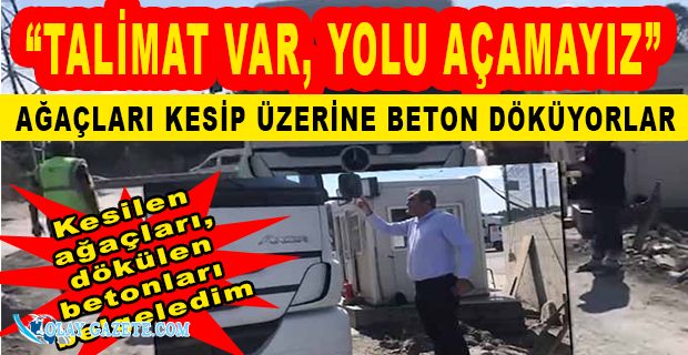 CHP