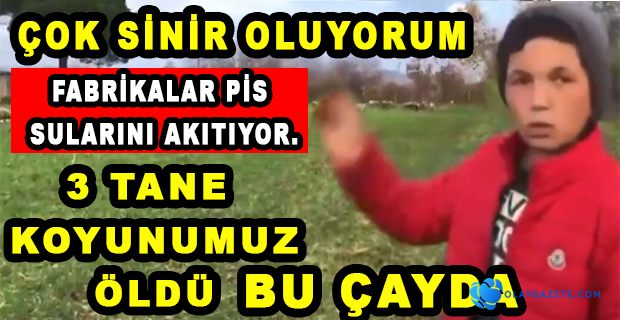 ÇOBANLIK YAPAN ÇOCUK İŞÇİ İSYAN ETTİ