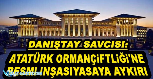 DANIŞTAY SAVCISI 