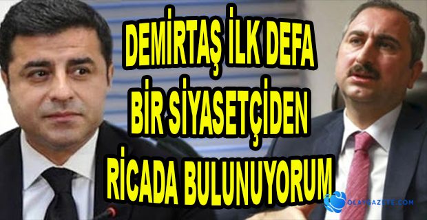 DEMİRTAŞ