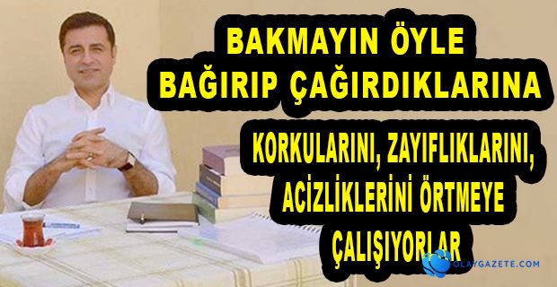 DEMİRTAŞ
