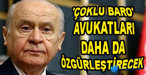 DEVLET BAHÇELİ