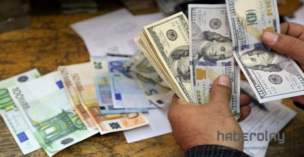 Dolar ve Euronun Artışı Devam Ediyor