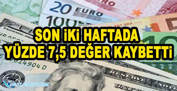 DOLAR/TL