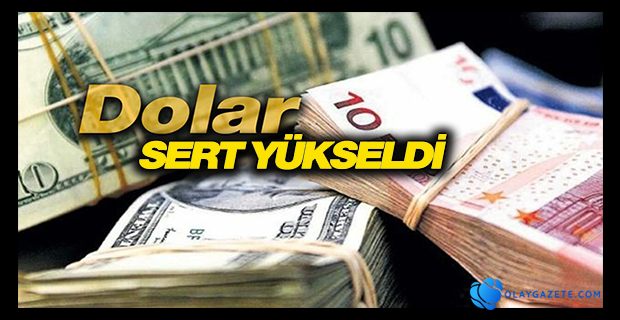 DOLAR/TL