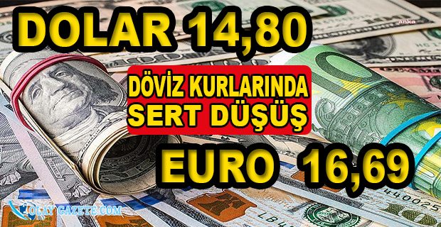 DÖVİZ KURLARINDA SERT DÜŞÜŞ TL KARŞISINDA YÜZDE 22 GERİLEDİ