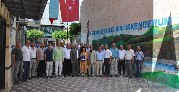 Duvara Renk Kattılar  
