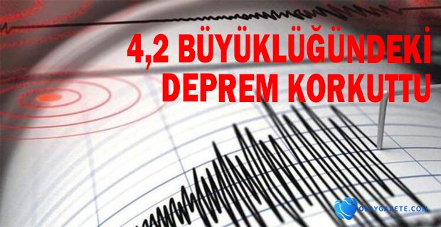 ELAZIĞ YİNE SALLANDI 