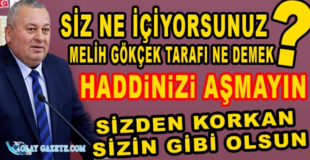ENGİNYURT