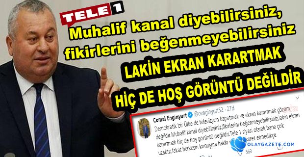 ENGİNYURT TELE’1
