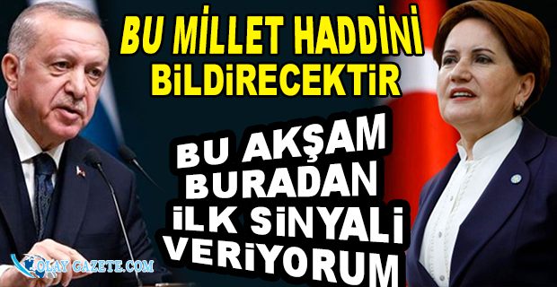 ERDOĞAN, AKŞENER
