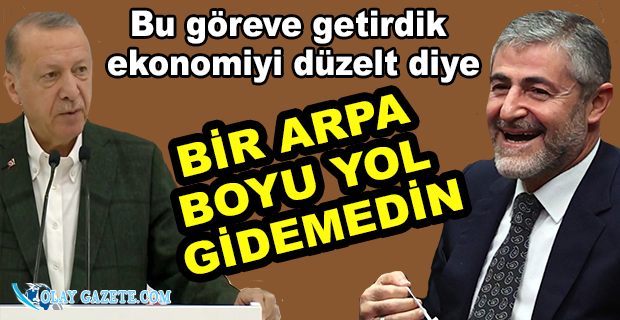 "ERDOĞAN, SARAY