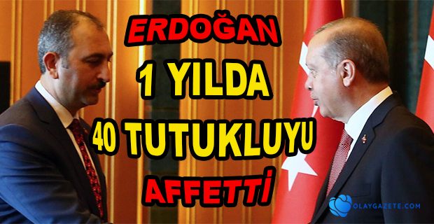 ERDOĞAN TARAFINDAN AFFEDİLENLERE İLİŞKİN SAYILAR VERİLDİ