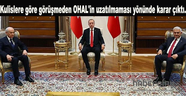 Erdoğan ve Bahçeli iki konuda uzlaştı