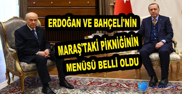 ERDOĞAN VE BAHÇELİ