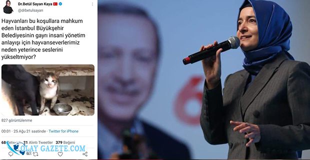 ESKİ BAKAN BETÜL SAYAN, PAYLAŞTIĞI FOTOĞRAFI AK PARTİ DÖNEMİNE AİT ÇIKINCA SİLDİ