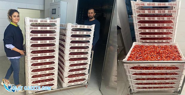 ESKİ CEZAEVİ ÇİLEK İŞLEME TESİSİNE DÖNÜŞTÜ