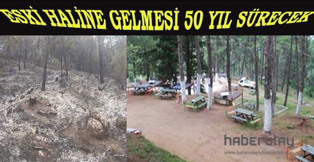 ESKİ HALİNE GELMESİ 50 YIL SÜRECEK 
