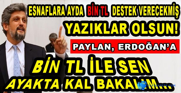 ESNAFA DESTEK PAKETİ İÇİN PAYLAN: DAĞ FARE DOĞURDU, YAZIKLAR OLSUN