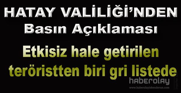 Etkisiz hale getirilen teröristten biri gri listede