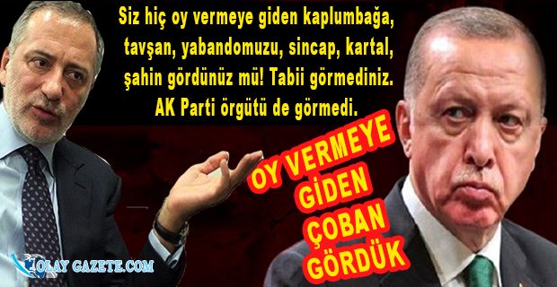 FATİH ALTAYLI