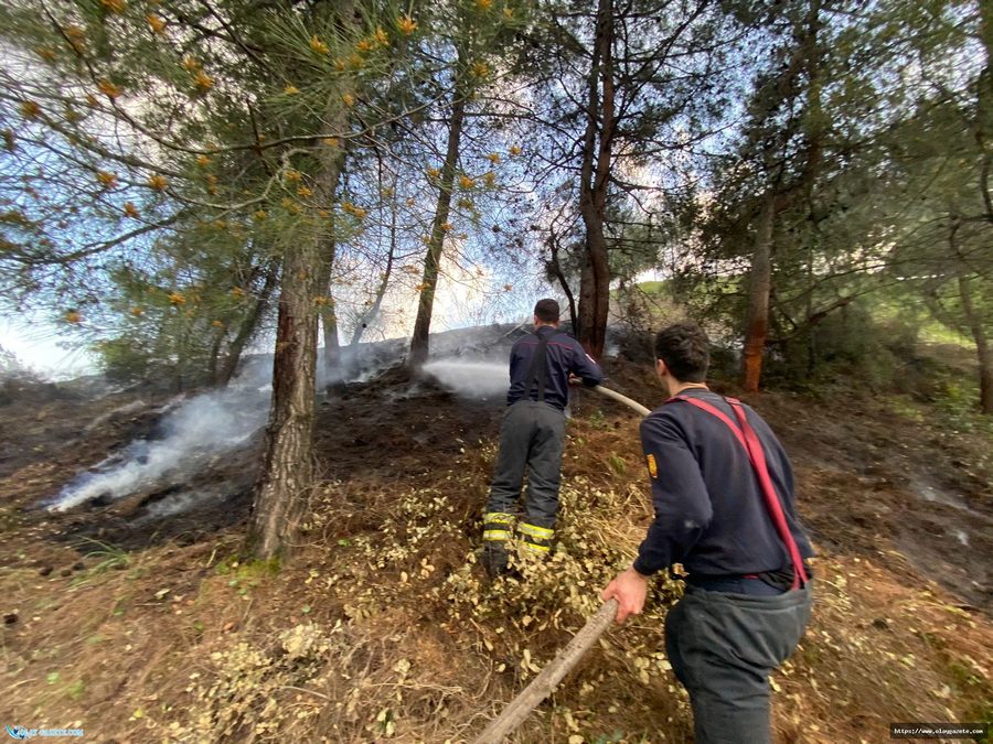 GÖNÜLLÜ İTFAİYECİLER İŞ BAŞINDA YANGIN KONTROL ALTINDA