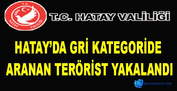 GRİ KATEGORİDE ARANAN TERÖRİST YAKALANDI