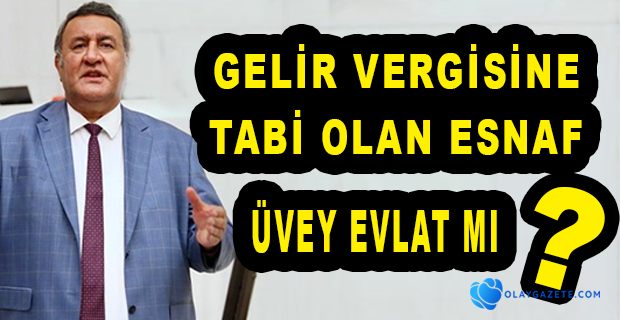 GÜRER: HER ESNAF DEĞİL, SADECE BASİT USULDE VERGİ VERENLER YARARLANIYOR 