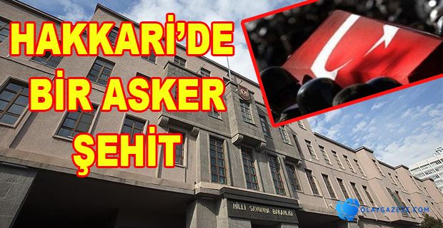 HAKKARİ