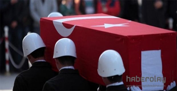Hakkari ve Afrin