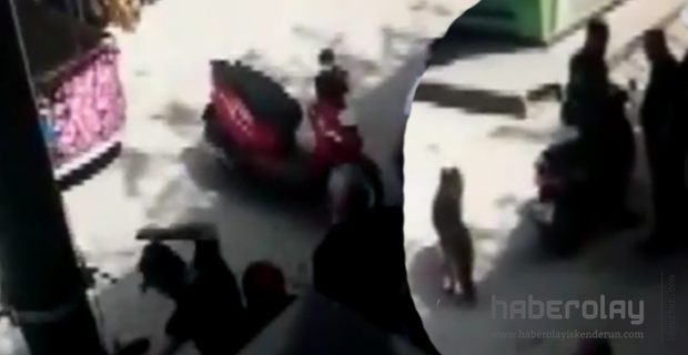 HAMİLE KADINA ŞİDDET!