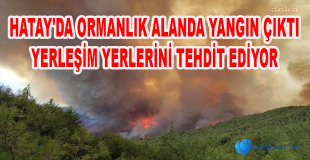 HATAY