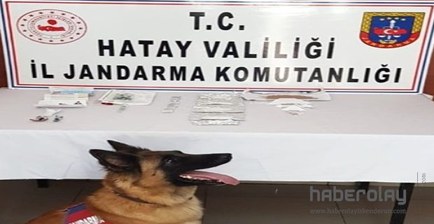 Hatay