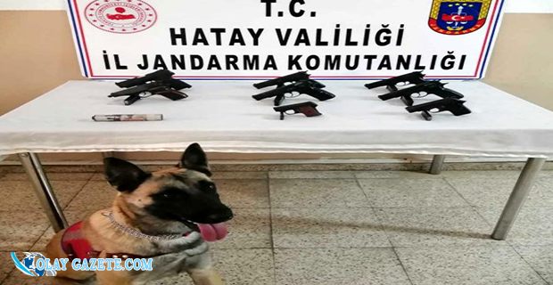 HATAY’DA 8 KAÇAK SİLAH ELE GEÇİRİLDİ