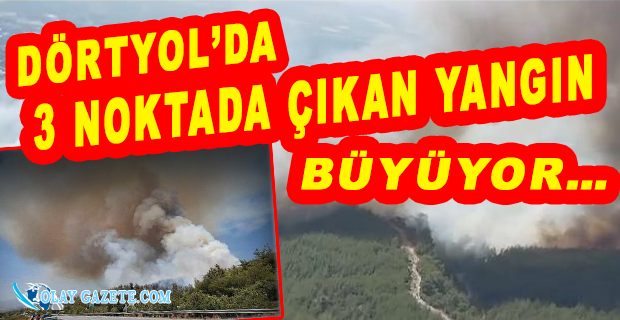 HATAY AMANOSLARDA  YANGIN