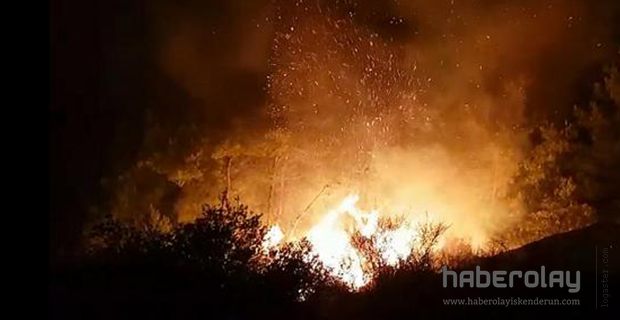 Hatay’da aynı anda 25  orman yangını