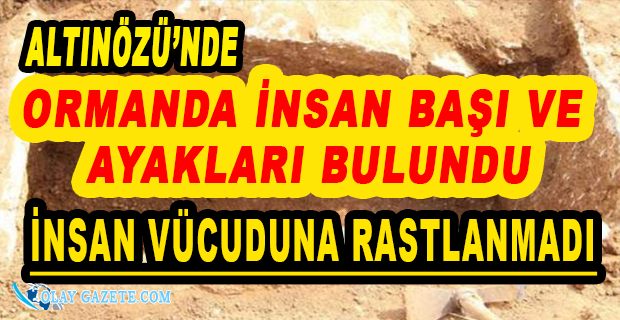 HATAY’DA ‘DA ORMANDA İNSAN BAŞI VE AYAKLARI BULUNDU