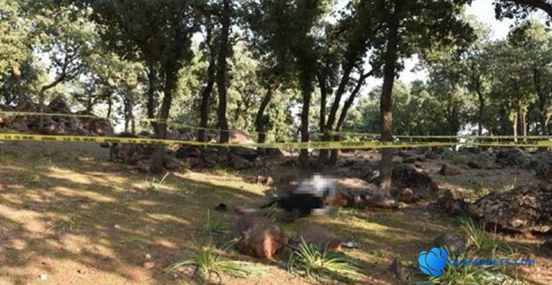 HATAY’DA KAYIP OLARAK ARANAN KİŞİ ORMANLIK ALANDA ÖLÜ BULUNDU