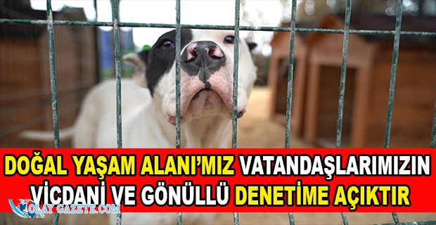 HBB’DEN YASAKLI IRK KÖPEKLERİN KAVGA ETTİĞİ GÖRÜNTÜLERDE BİRBİRLERİNE SALDIRARAK ÖLDÜRDÜĞÜ  İDDİALARA CEVAP