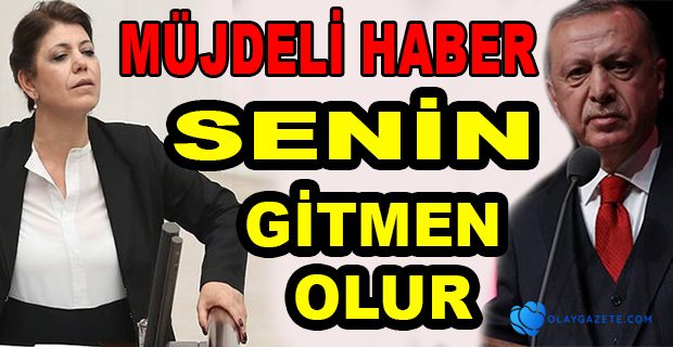 HDP’Lİ MERAL DANIŞ BEKTAŞ’TAN, ERDOĞAN’A: “MÜJDELİ HABER, SENİN GİTMEN OLUR”