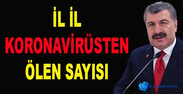 İL İL KORONAVİRÜSTEN ÖLEN SAYISI