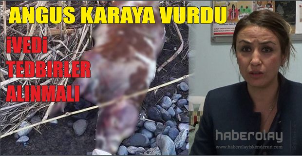 İVEDİ TEDBİRLER ALINMALI