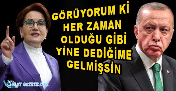 İYİ PARTİ LİDERİ MERAL AKŞENER